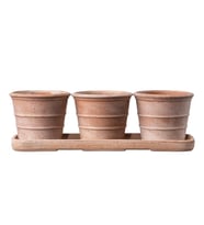 Mini Siena Toprak Saksı Seti Terracota