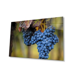 Üzüm Mutfak Natürmort Cam Tablo 4mm Dayanıklı Temperli Cam Grape Kitchen Still Life Glass Wall Art