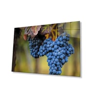 Üzüm Mutfak Natürmort Cam Tablo 4mm Dayanıklı Temperli Cam Grape Kitchen Still Life Glass Wall Art