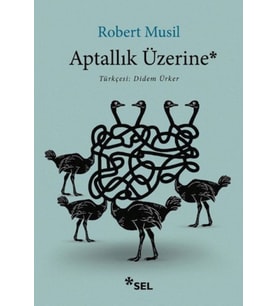 Aptallık Üzerine