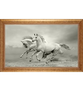 EV İŞYERİ OFİS İÇİN ALTIN ÇERÇEVELİ PASPARTULU TABLO S688