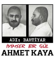 PLAK - Ahmet Kaya - Adı Bahtiyar - İyimser Bir Gül