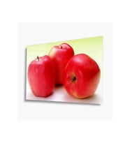 Miyrem Glasses Collection -A1^#  Meyveler Cam Tablo (Çok Renkli)
