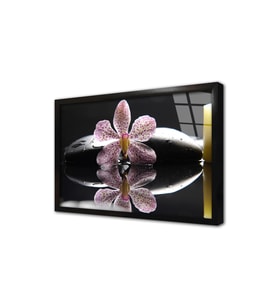 Spa Taşları ve Orkide Çerçeveli Cam Tablo