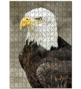 Cakapuzzle Yırtıcı Kara Kartal Hayvan Doğa Puzzle Yapboz MDF (Ahşap) (120 Parça)