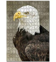Cakapuzzle Yırtıcı Kara Kartal Hayvan Doğa Puzzle Yapboz MDF (Ahşap) (120 Parça)