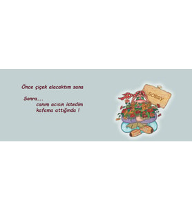 Önce çiçek alacaktım sonra kafama attığında canım acısın istedim Kupa Love Bug-T