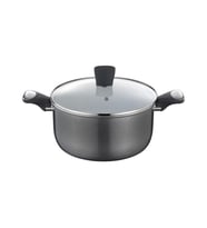 Lagostina Artica Derin Tencere 24cm