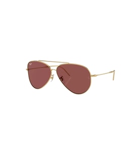 Rayban Unisex Güneş Gözlüğü RB0101S-59