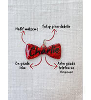 Papyon Şeklinde Kedi/ Köpek- İsimliği/ Künyesi (Kırmızı)