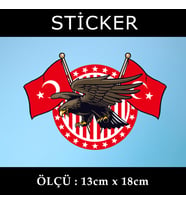 ayyıldız bayraklı kuş yırtıcı etiket sticker - 2 adet çıkartma araba motosiklet kask atv tablet pc buzdolabı otomobil bilgisayar uyumlu