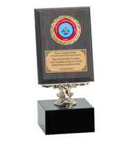 ODAK KUPA - Ahşap Plaketler - PL-002 B - 12x16 cm