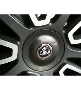Abarth Logo Jant Göbeği