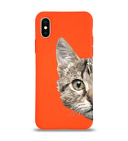 Apple iPhone XS Max Uyumlu Lansman Kılıf Catface Tasarımlı Altı Kapalı İçi Kadife Kaplı  Kapak (Şeffaf)
