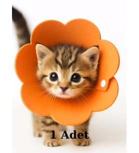 Yavru Kedi Yakalık Yumuşak Özel Teknofoam (3 Beden Ayarlanabilir)