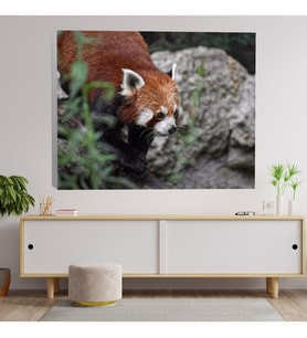 Panda Temalı Dekoratif Kanvas Tablo