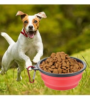Mcg® Katlanabilir Kedi Köpek Mama ve Su Kabı Köpek Oyuncağı