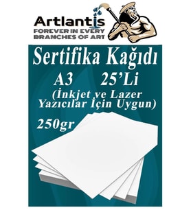 A3 Sertifika Kağıdı Kalın 25 Adet Gramajlı Fotokopi Kağıdı 250 gr Tüm Yazıcılara Uyumlu 29.7x42 cm Kalın Baskı Kağıdı (Beyaz)