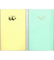 DRN GIFT ST-0623Ç 13x20 IVORY PASTEL KARTON KAPAK 40 YP. ÇİZGİLİ DEFTER - TEKLİ