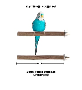 Doğal Ahşap Kuş Tüneği 15 Cm - Gerçek Fındık Dalı