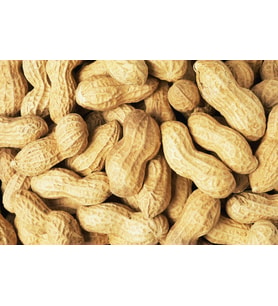 Kabuklu Fıstık (2 Kg )