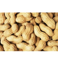 Kabuklu Fıstık (2 Kg )