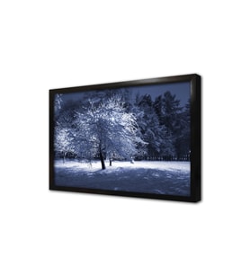 Karlar Altında Kalmış Park Çerçeveli Cam Tablo