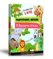 Profesyonel Boyama Kitap Seti (3 Fasikül Kitap)