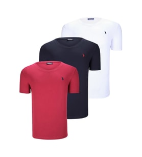ÜÇLÜ SET T8568 DEWBERRY V YAKA ERKEK T-SHIRT-KOYU LACİVERT-KAR BEYAZ-AÇIK BORDO (Karışık)