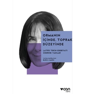 Ormanın İçinde, Toprak Düzeyinde