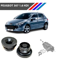 Otozet Peugeot 307 1.6 HDI Hava Filtre Kutu Lastiği 2 Adetli Takım 1422A3