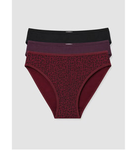 LCW DREAM Bordo Leopar Desenli Bikini Külot 3'lü