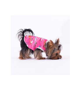 Pawstar Köpek T-Shirt Skate Dogs Medium Sırt28cm Göğüs41cm Boyun26cm