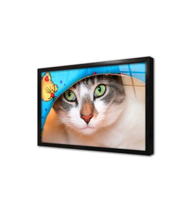 Kedi Çerçeveli Cam Tablo