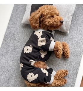 Doggy Köpek Uyku Takımı  Pamuklu Penye Köpek Tulumu ve Mini Yastık  Küçük Irklar İçin  Tüy Dökülmesini Azaltır (Siyah)