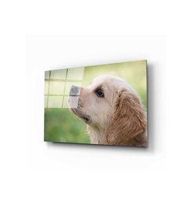 Miyrem Glasses Collection -A1^#  Köpek 1 Cam Tablo (Çok Renkli)