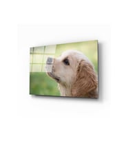 Miyrem Glasses Collection -A1^#  Köpek 1 Cam Tablo (Çok Renkli)
