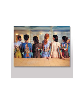 25cmX35cm Ahşap Tablo Pink Floyd Albüm Kapakları Ve Kızlar