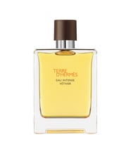 Terre D'Hermès Eau Intense Vétiver, Eau De Parfum 100ML