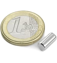 5Mm X 10Mm Silindir Güçlü Neodyum Mıknatıs
