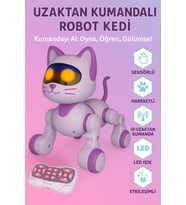 Uzaktan Kumandalı Şarjlı Akıllı Robot Kedi