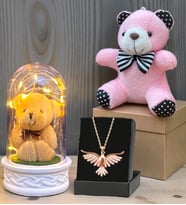Premuim Hediye Seti Anka Kuşu Kolye, Peluş Anahtarlık ve Led Işıklı Fanus (Model 6)