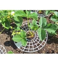Meyve Koruyucu ve Çürümeyi Önleyici Bahçe Aparatı 2Lİ 160MM,230MM