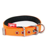 Tailpetz Comfy Collar Köpek Boyun Tasması Turuncu Medium