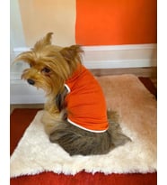 Basic Orange Atlet Köpek Kıyafeti  Köpek Elbisesi (Turuncu)