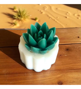 Sivri Yaprak Succulent Silikon Kalıp