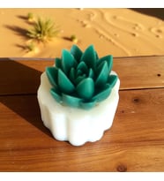 Sivri Yaprak Succulent Silikon Kalıp