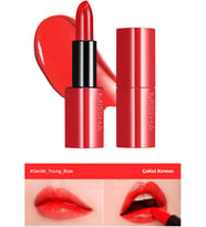 Yoğun Pigmentli Besleyici Nemli Bitişli Ruj Dare Rouge Sheer Sleek (05Gentle Young Bos)