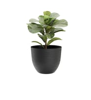 Over 38 Siyah Plastik Saksı + Su Seviyesi Göstergesi 38 cm