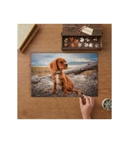 Sevimli bir Cavalier King Charles Spaniel Yavrusu Tasarımı 240 parça Ahşap Puzzle Ahşap Kutuda MP07299